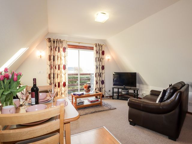 Larchfield Chalet 2 - 3558 - photo 3