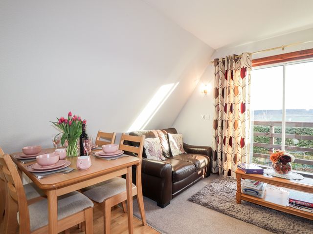 Larchfield Chalet 2 - 3558 - photo 4