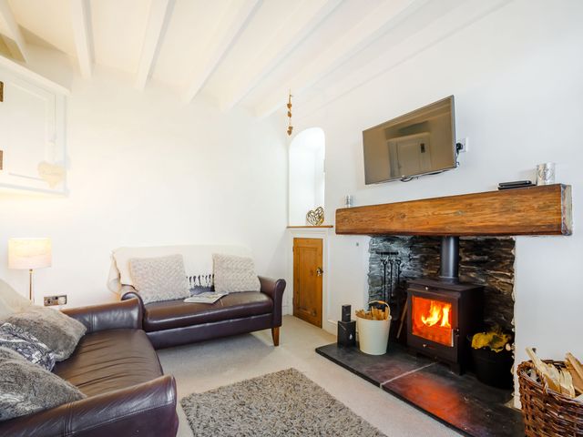 Braich-Y-Celyn Lodge - 3634 - photo 4