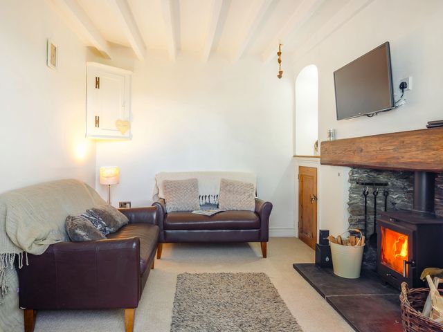 Braich-Y-Celyn Lodge - 3634 - photo 5