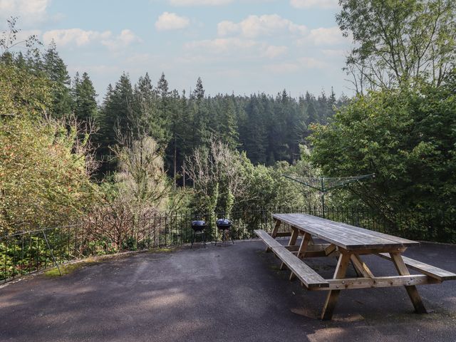 Bryn Cemlyn - 4588 - photo 2
