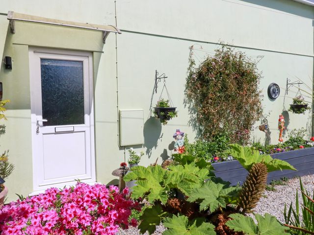 A garden with flowers plants hanging baskets and a white door at Sunnyvale in Bugle near St Austell