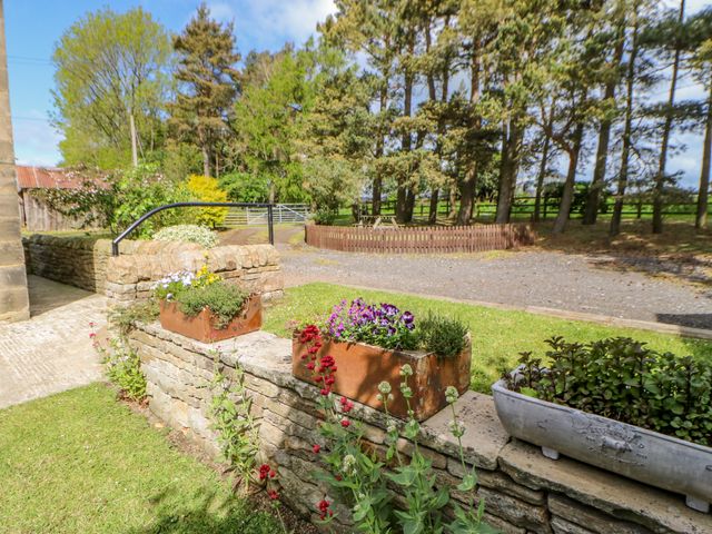 Moorgair Cottage - 705 - photo 3
