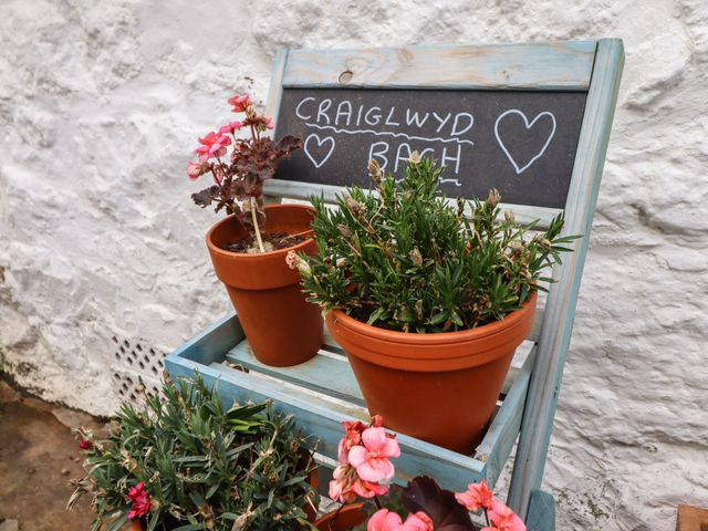 Craiglwyd Bach - 8492 - photo 4