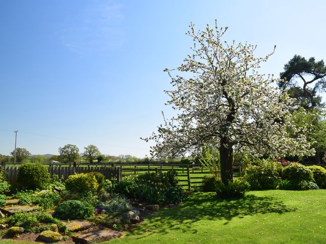 Parrs Meadow Cottage - 904464 - photo 4