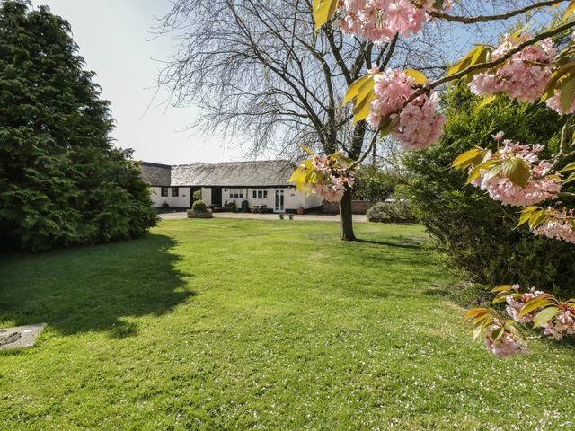 A grassy garden with trees and flowers and a white cottage in the background at Corner Cottage in Sedgehill near Shaftesbury