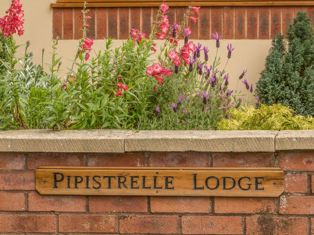 Pipistrelle Lodge - 912196 - photo 3
