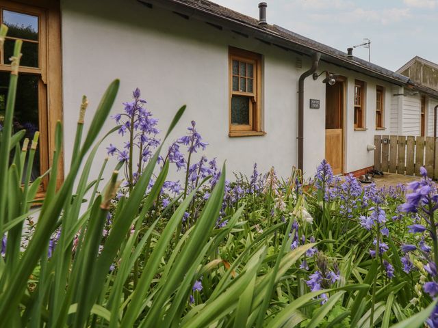 Plum Tree Cottage - 914908 - photo 2