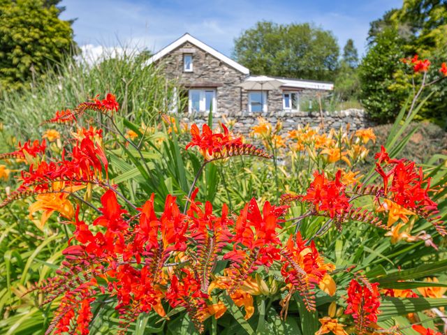Bwythyn Y Wennol - 915214 - photo 3