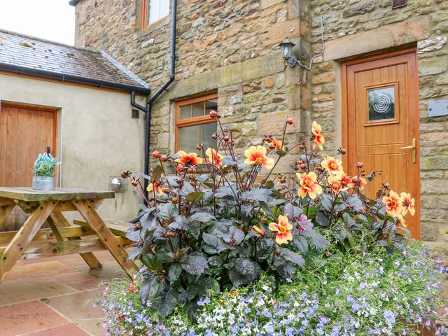 The Barn Cottage - 916544 - photo 2