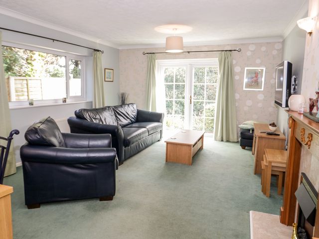Treetops - 917282 - photo 4