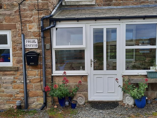 An entrance with a door and plants at Fossil Nest