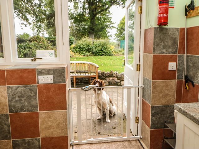 Holly Lodge - 919062 - photo 5