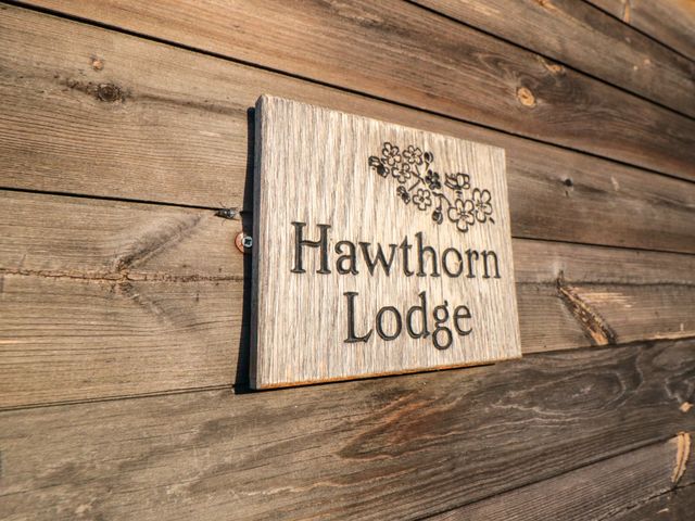 Hawthorne Lodge - 920687 - photo 3