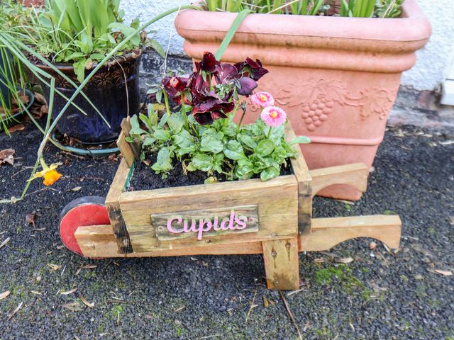 Cupid's Cottage - 922235 - photo 2