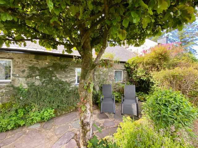 Hendy Cottage - 923445 - photo 3