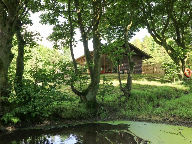 Pond Farm Woodlands - 930184 - photo 2