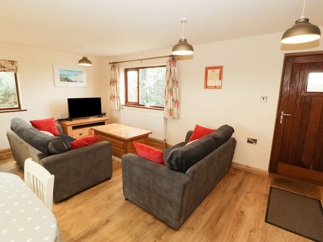 Bodneithior - 931589 - photo 3