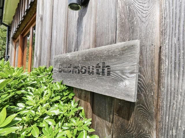 Budmouth - 932157 - photo 4