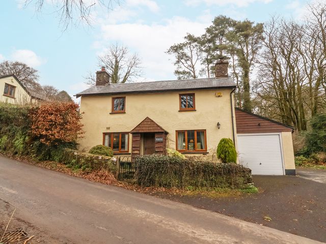 Pipits - 932199 - photo 1 