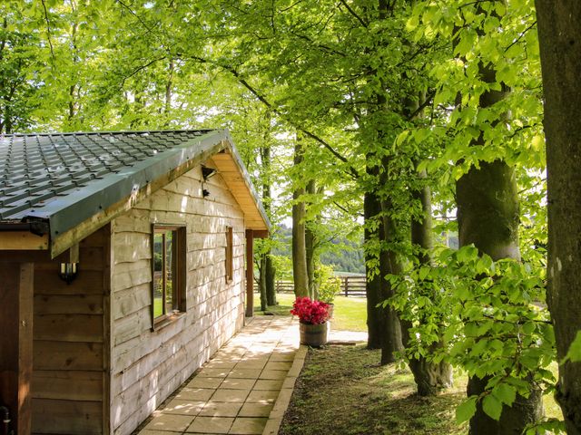 Valley View Lodge - 932499 - photo 3
