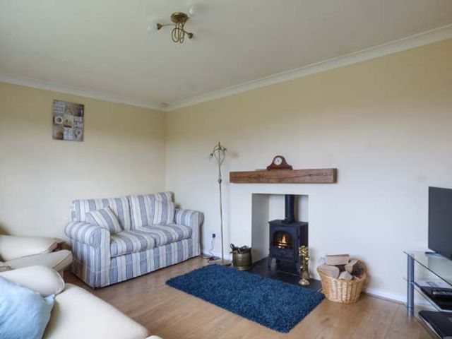 Skylark - 932951 - photo 2