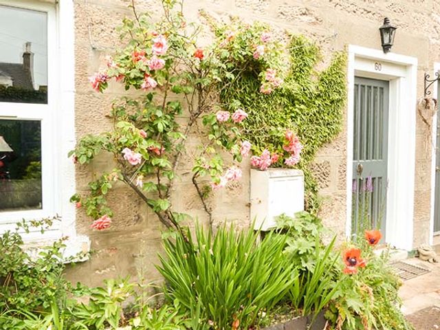 Coorie Doon - 934120 - photo 2