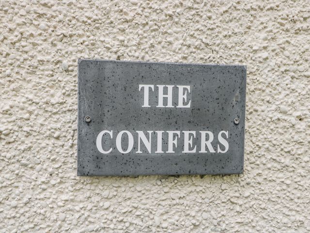 The Conifers - 935226 - photo 2