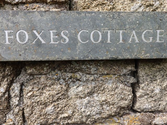 Foxes - 936311 - photo 2