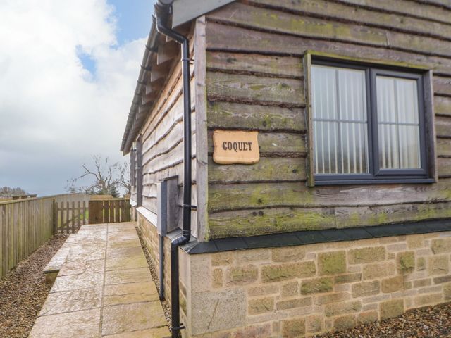 Coquet - 938161 - photo 2