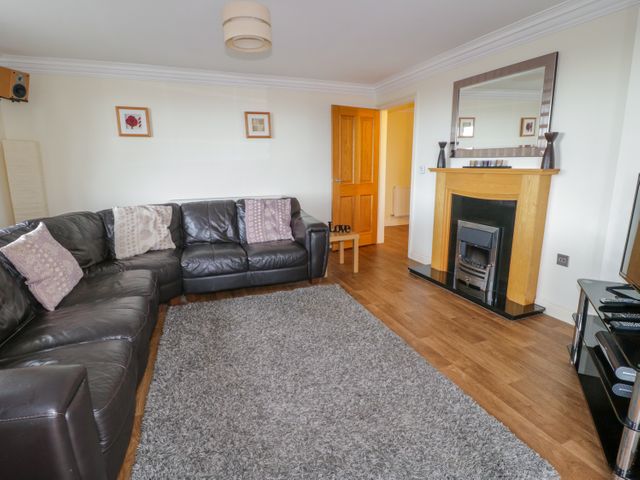 Llecyn Braf - 939288 - photo 5
