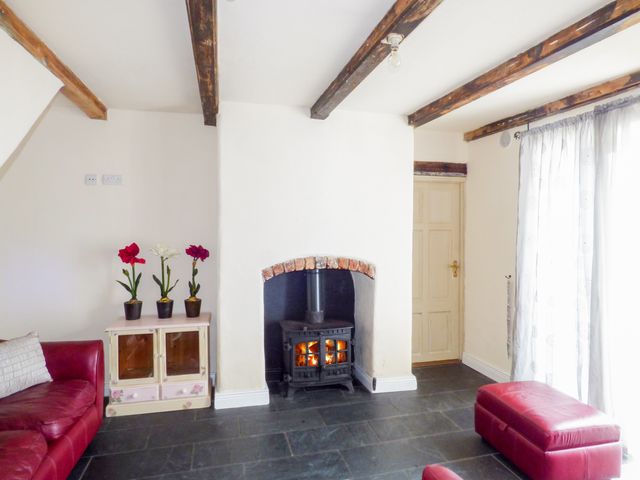 Berrylane - 945107 - photo 3