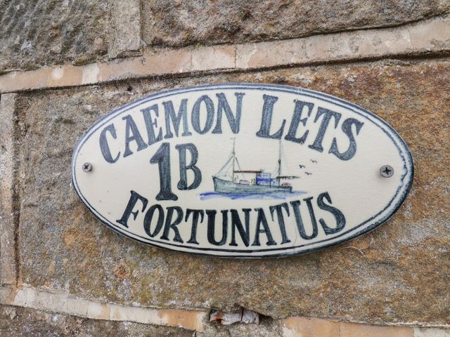 Fortunatus - 946229 - photo 2