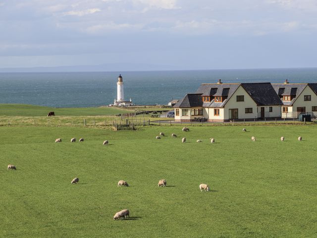 A view of a lighthouse and houses with sheep grazing in a field at Corsewall Castle Farm Lodges in Kirkcolm