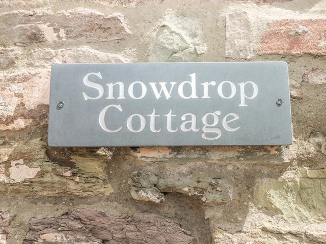 Snowdrop Cottage - 949428 - photo 4