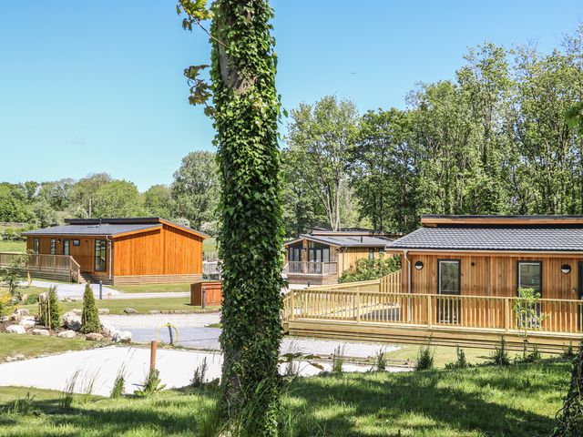 Squirrel Lodge - 950869 - photo 2