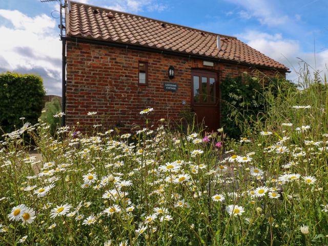 Lovesome Cottage - 951547 - photo 2