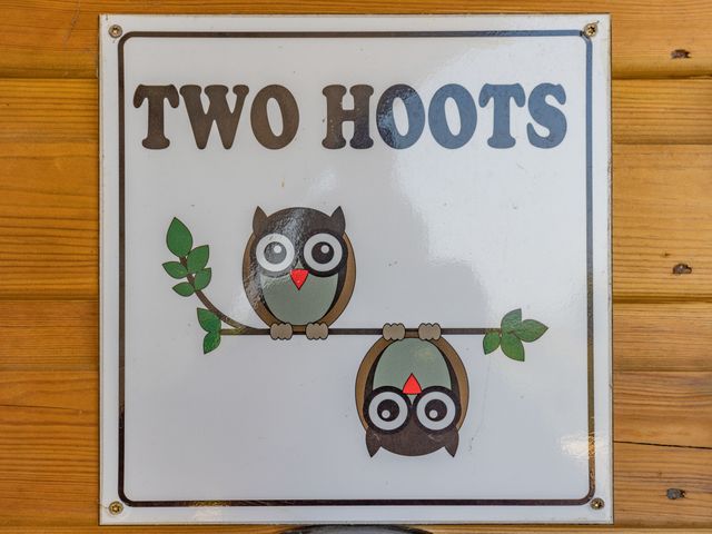 Two Hoots - 951605 - photo 5