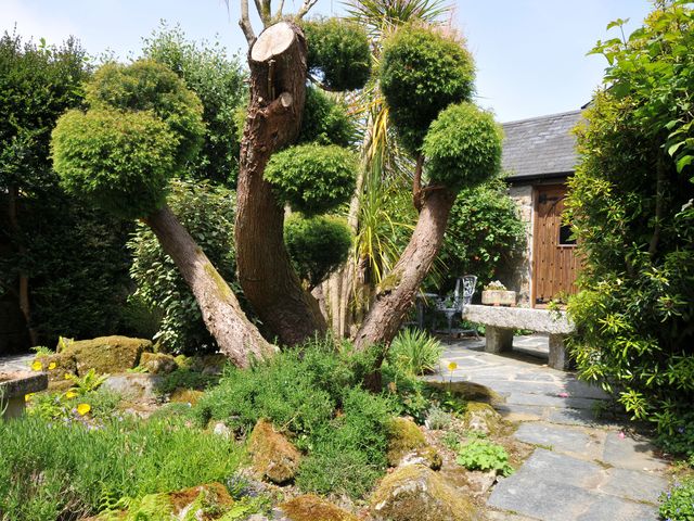 A garden with a tree and stone bench at Trevenning Chapel Near Port Isaac