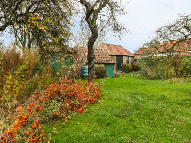 Sunnyside Garden Cottage - 959719 - photo 2