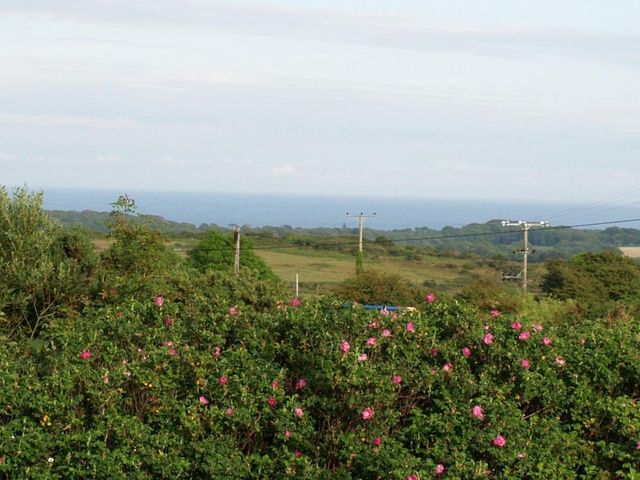 Halvosso - 959964 - photo 2