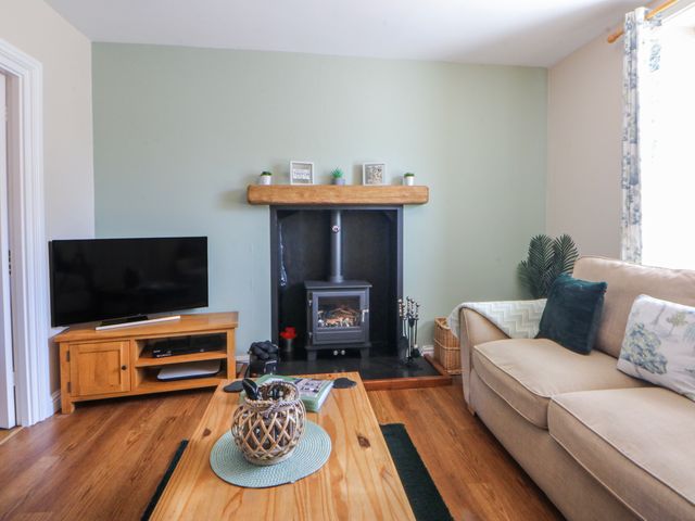 Bythynnod Newydd - 960368 - photo 5
