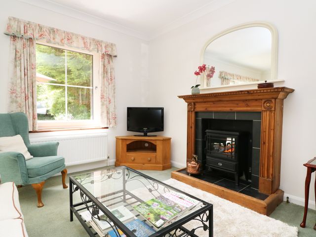 Westgate Cottage - 960985 - photo 5