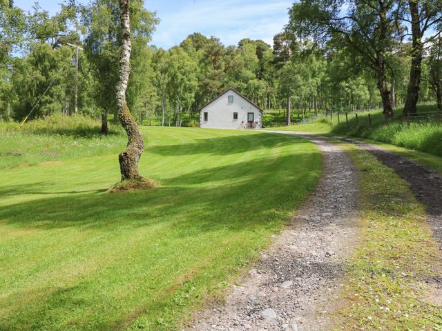 Birchbank - 961571 - photo 2