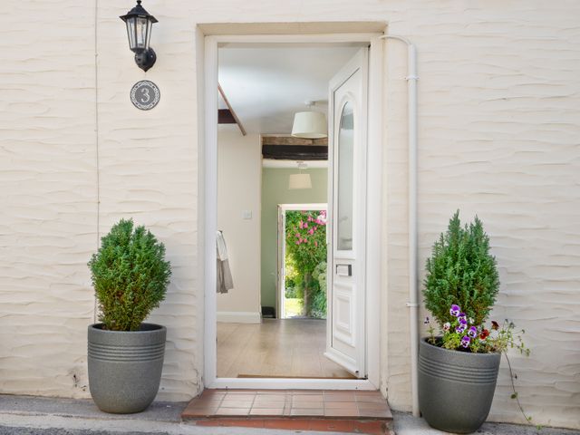 Open front door with two potted plants outside and a hallway leading to a garden at 3 Horse Pool Road in Laugharne