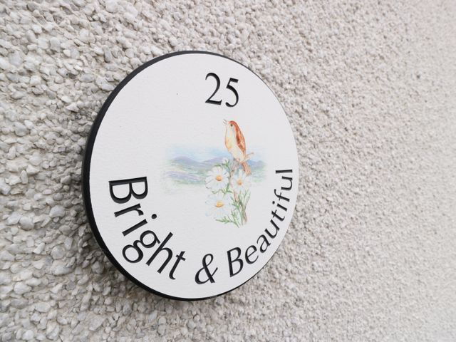 Bright and Beautiful - 962809 - photo 5