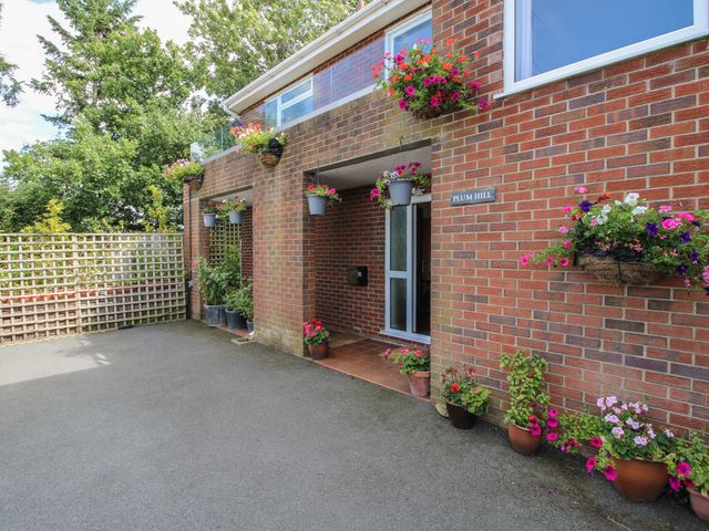 Plum Hill Studio - 963200 - photo 2