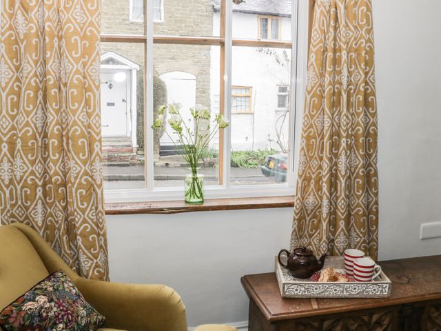 Fern House - 964143 - photo 5
