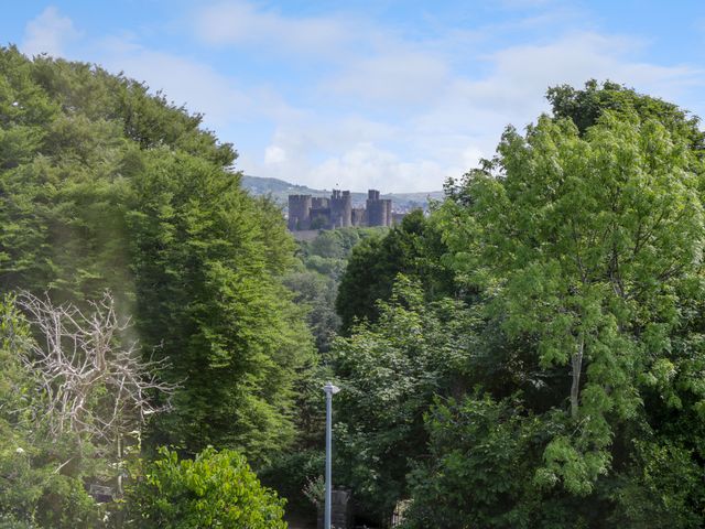 Bron Y Graig - 964324 - photo 3
