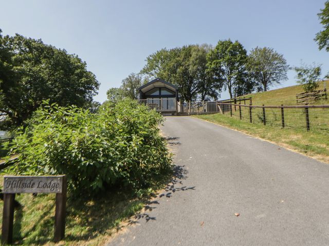 A lodge at the end of a drive with trees nearby at Hillside Lodge Nantmel near Rhayader